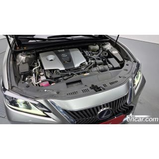 219006