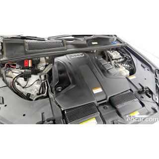 263445