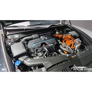 256404