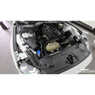 42423