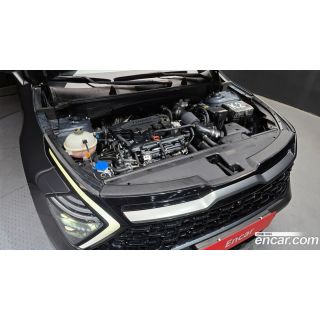 305407