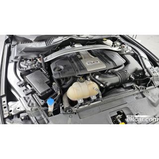 273367