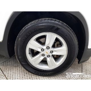 255139