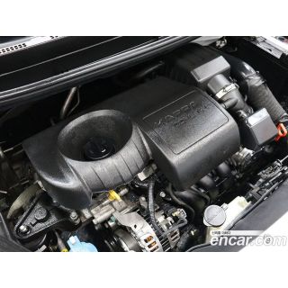 264806