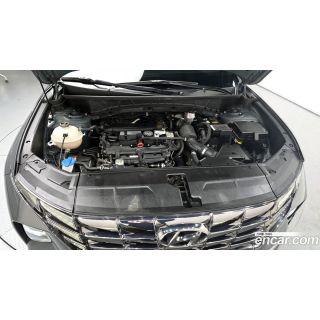 345446