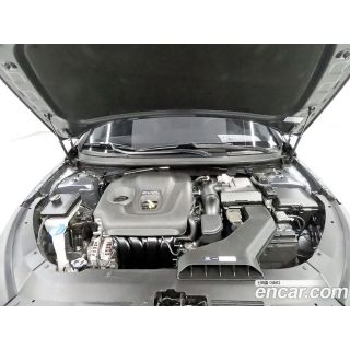 447031