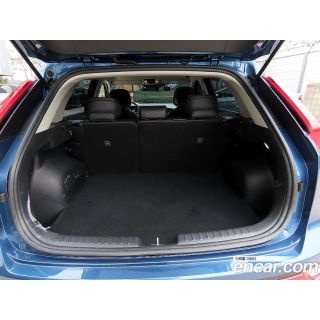 303241