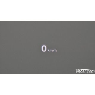50619