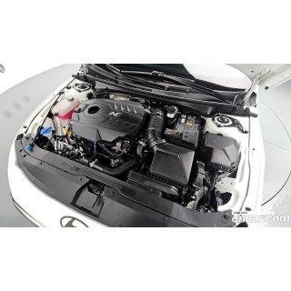 409244