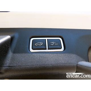 323135