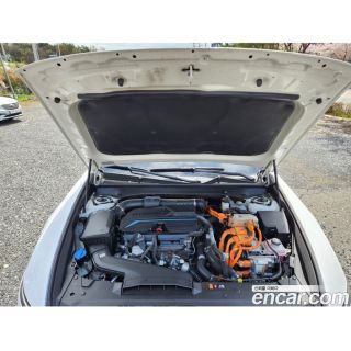 287664