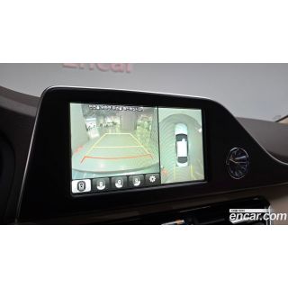515891