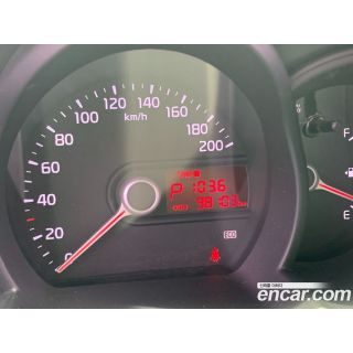 445667