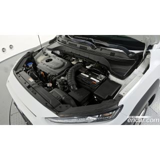259254