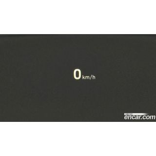 663366