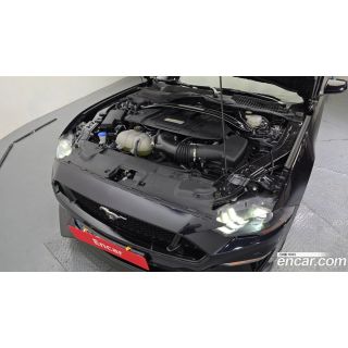 256335