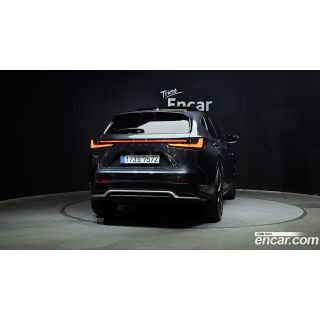 262761
