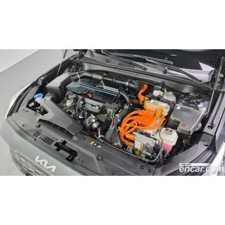 26954