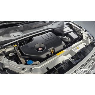 427603