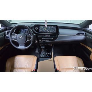 294543