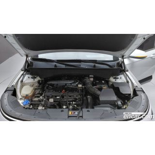 594443
