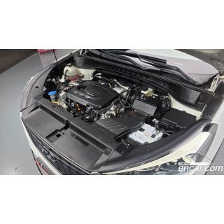 35244