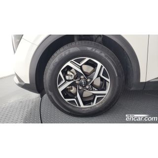 325561