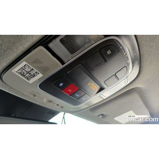 558647