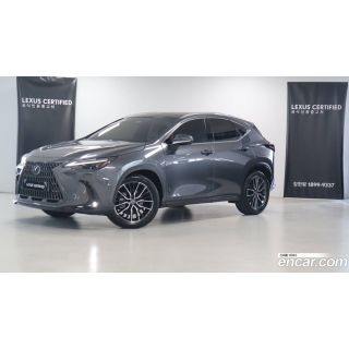 634005