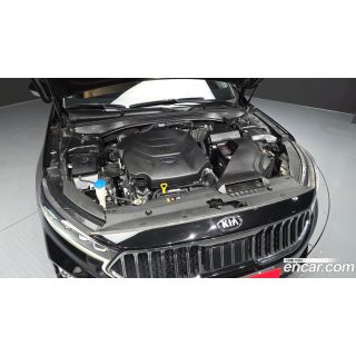 428031