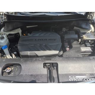 828283
