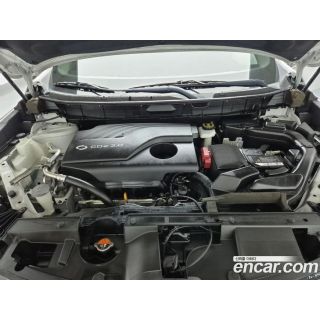 409667