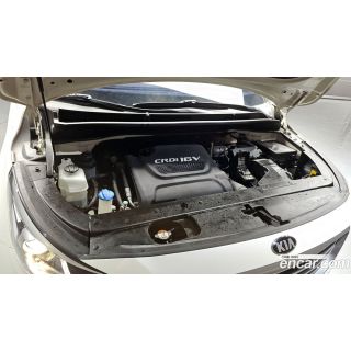 529445