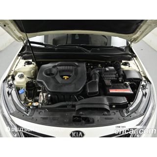 239118
