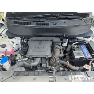 55517