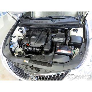 417561