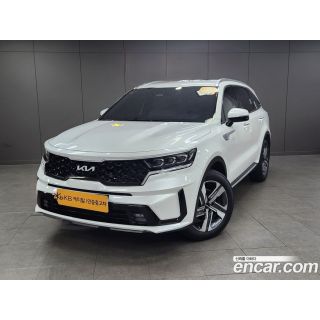 403787