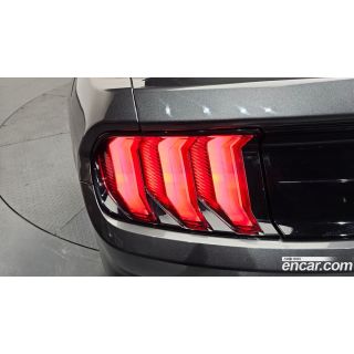 491394