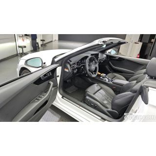 281801