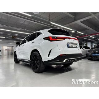 638623