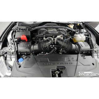 247436