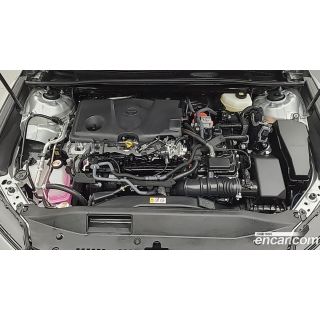 64558