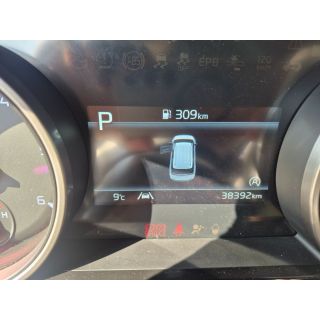 303666