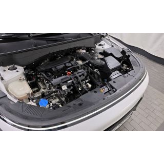 66491
