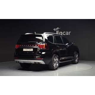 423294