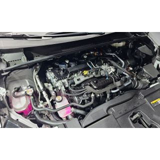 317005
