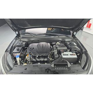 233461