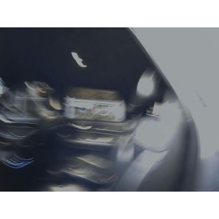 294813