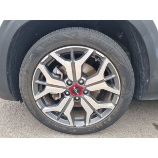323503