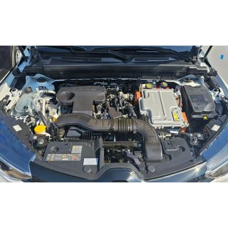 82445